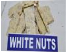 white nuts