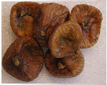 HILLS FIG