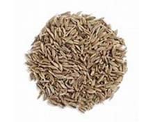 CUMIN JEERA